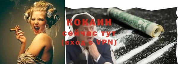 гидра Няндома