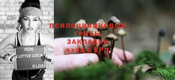МДПВ Нязепетровск