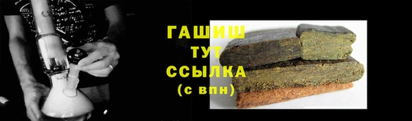 гидра Няндома