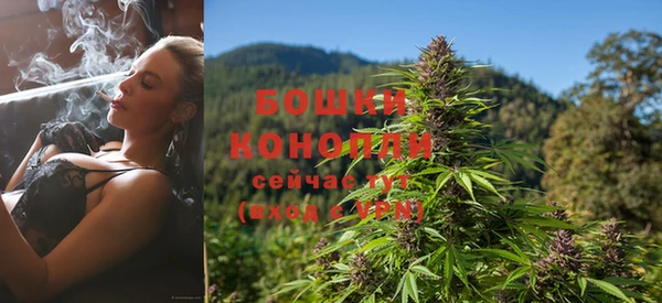 гидра Няндома