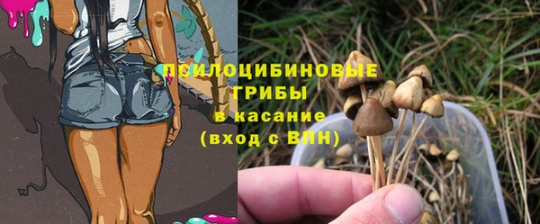 МДПВ Нязепетровск