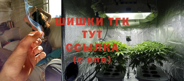 МДПВ Нязепетровск