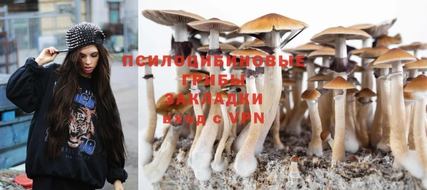 гидра Няндома