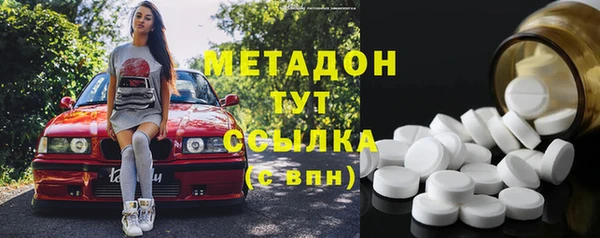 гидра Няндома