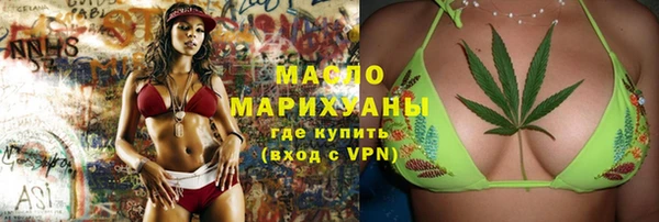 гидра Няндома