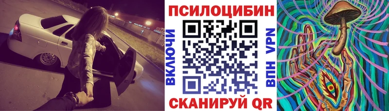 Псилоцибиновые грибы Psilocybine cubensis  кракен ссылки  Ставрополь  где купить  