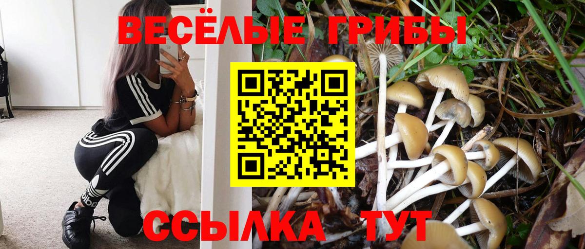 купить  сайты  Псилоцибиновые грибы мухоморы  Вход с VPN  Ставрополь 