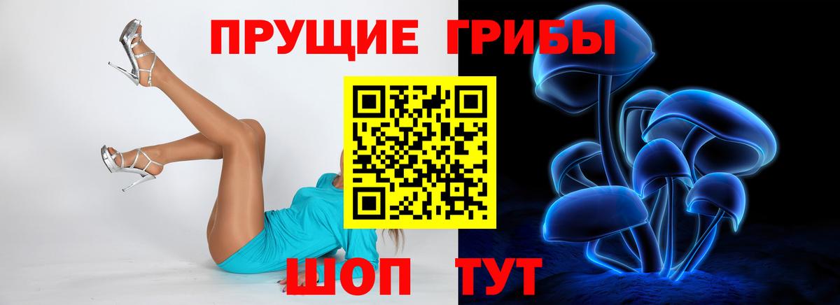 Псилоцибиновые грибы прущие грибы Ставрополь