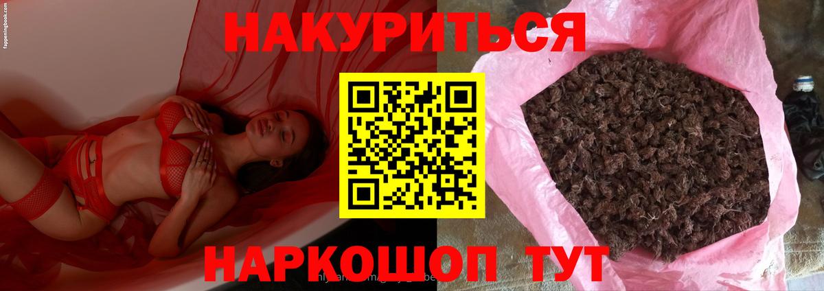 Бошки марихуана гибрид Ставрополь